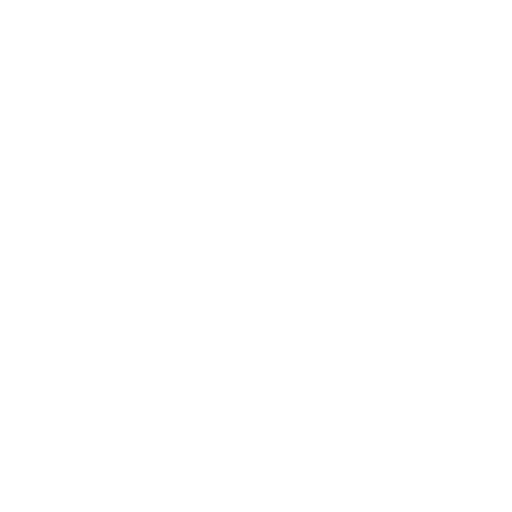 Brain image